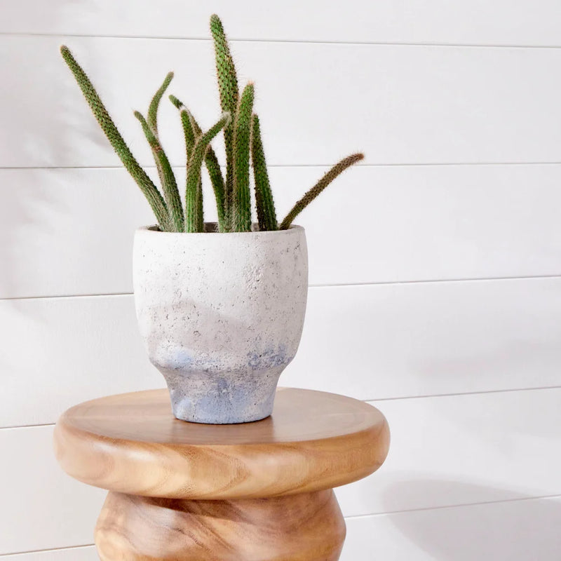 Summer Swirl Stool | Walnut