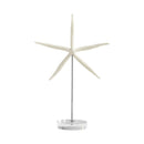 Royal Sea Star Sculpture | White And Polished Nickel - Medium