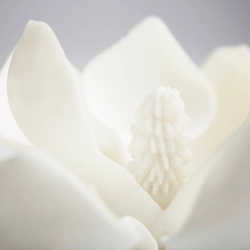 Magnolia Sculpture | White - Small