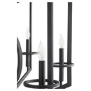 Oxalis Chandelier | Noir