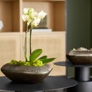 Prism Bowl | Bronze - Small